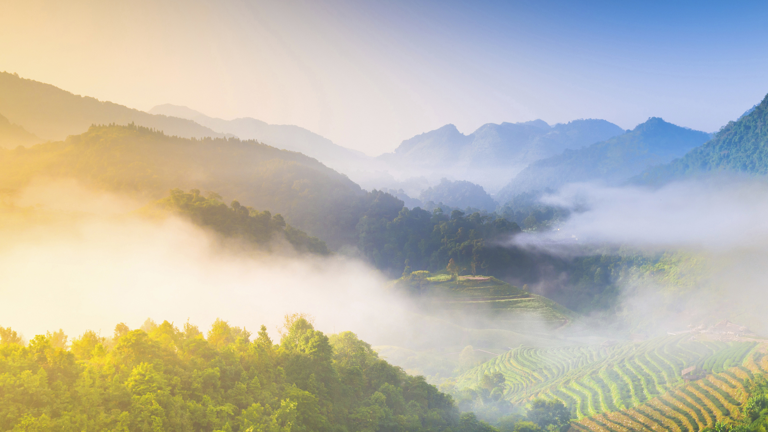 一景通智慧票務(wù)管理系統(tǒng)讓景區(qū)營銷高效運營